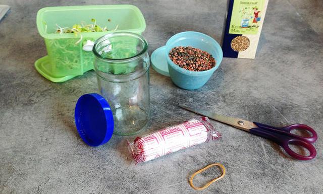 Keine teuren Gläser nötig: So stellen Sie Ihr eigenes Sprossenglas her Keine teuren Gläser nötig: So stellen Sie Ihr eigenes Sprossenglas her