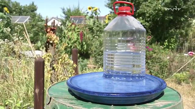 Kreative Idee für den Garten: Eine Vogeltränke mit Reservoir selbst bauen Kreative Idee für den Garten: Eine Vogeltränke mit Reservoir selbst bauen