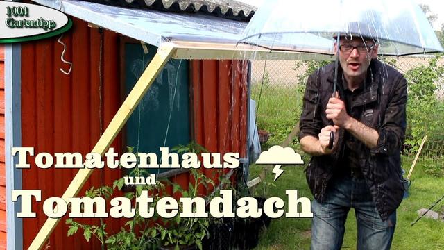 Tomatenhaus selber bauen: Tipps und Tricks für den Eigenbau Tomatenhaus selber bauen: Tipps und Tricks für den Eigenbau