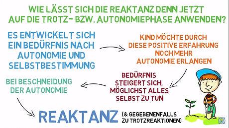 Welche Rolle spielt die geistige Entwicklung in der Trotzphase? Welche Rolle spielt die geistige Entwicklung in der Trotzphase?