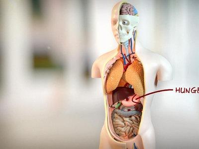 Ab wann ist Untergewicht bedenklich? Ab wann ist Untergewicht bedenklich?