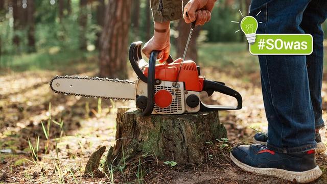 Innovation in der Holzbearbeitung: Wie die Erfindung der Kettensäge die Arbeitsprozesse revolutionierte