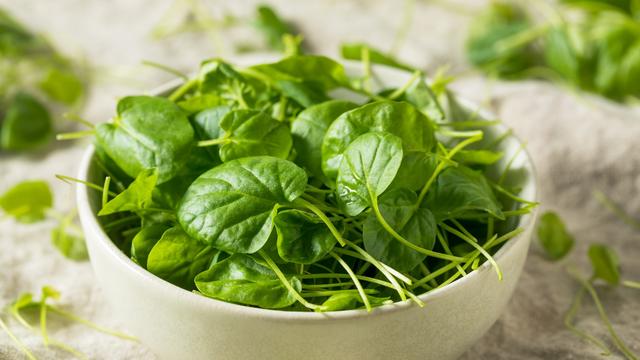 Gesundheitswunder Brunnenkresse: Warum es das beste Essen ist Gesundheitswunder Brunnenkresse: Warum es das beste Essen ist