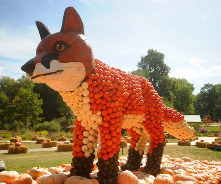 Kürbisfestival in der Gartenschau Bad Lippspringe Kürbisfestival in der Gartenschau Bad Lippspringe