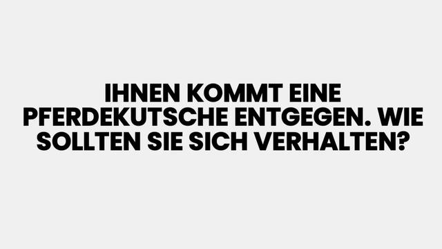 Was tun, wenn man einer Pferdekutsche auf der Straße begegnet? Was tun, wenn man einer Pferdekutsche auf der Straße begegnet?