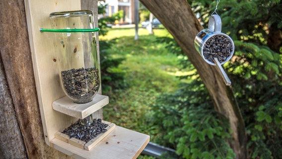 Einfache Anleitung zum Bau einer Vogelfutterstation Einfache Anleitung zum Bau einer Vogelfutterstation