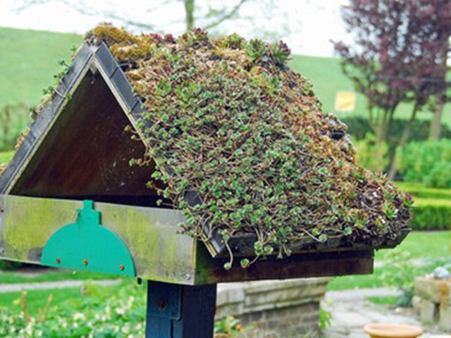 Schritt-für-Schritt-Anleitung: Vogelhaus selber bauen mit den Kids Schritt-für-Schritt-Anleitung: Vogelhaus selber bauen mit den Kids