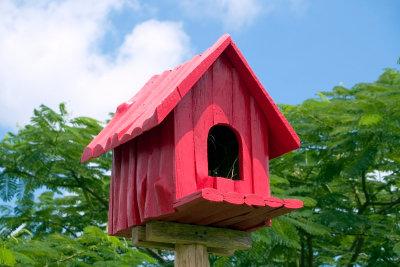 Kreatives Bauprojekt: Vogelhaus selber bauen mit Kindern – Tipps und Tricks Kreatives Bauprojekt: Vogelhaus selber bauen mit Kindern – Tipps und Tricks