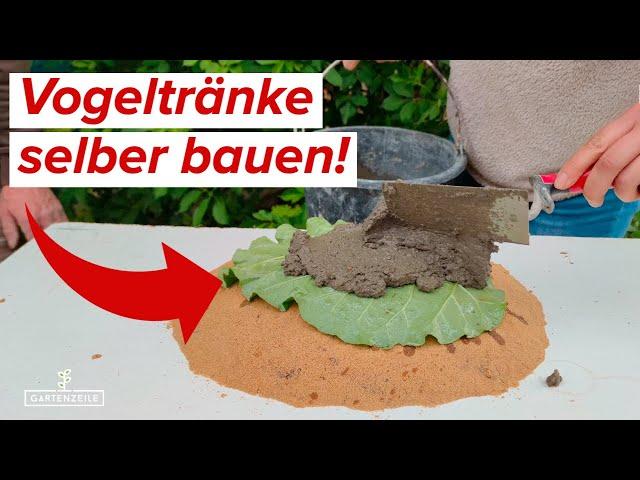Schritt-für-Schritt-Anleitung: Vogeltränken einfach selber bauen