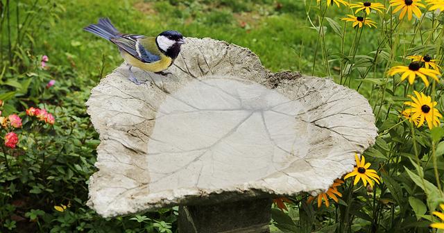 DIY-Projekt: Gestalten Sie Ihre individuelle Vogeltränke für den Garten
