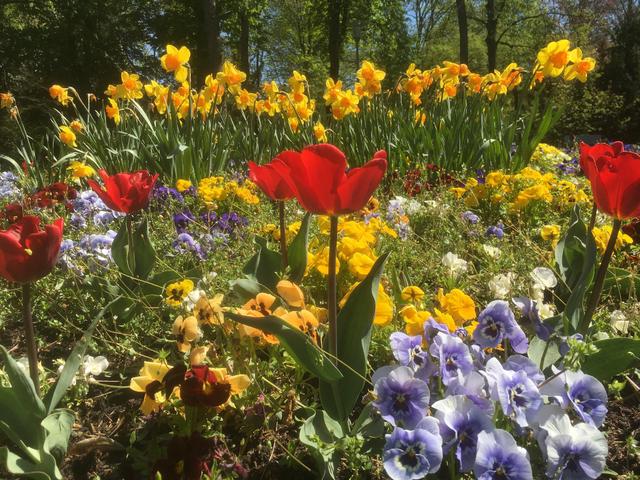 Kalendarischer Frühlingsanfang 2023: Datum und Uhrzeit Kalendarischer Frühlingsanfang 2023: Datum und Uhrzeit