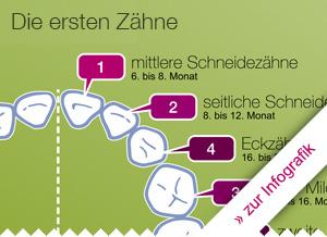 Der Zeitpunkt des Durchbruchs der Backenzähne: Was Sie wissen sollten