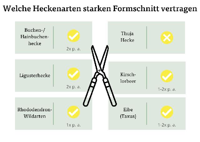 Gesetzliche Vorgaben beachten: Wann ist der Heckenschnitt erlaubt? Gesetzliche Vorgaben beachten: Wann ist der Heckenschnitt erlaubt?