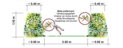 Heckenschnitt bei Buchenhecken: Die besten Termine im Jahr Heckenschnitt bei Buchenhecken: Die besten Termine im Jahr