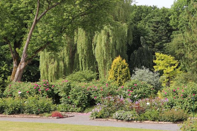 Tipps zum richtigen Zeitpunkt für den Schnitt von Büschen Tipps zum richtigen Zeitpunkt für den Schnitt von Büschen