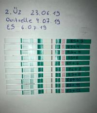 Ovitrelle und der Eisprung: Wie lange dauert es? Ovitrelle und der Eisprung: Wie lange dauert es?