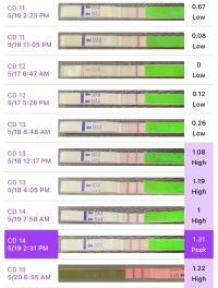 Zeitpunkt des Eisprungs nach Ovitrelle: Was Sie wissen sollten