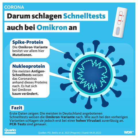 Viruslast bei Omikron-Infektionen viel höher als bei anderen Varianten Viruslast bei Omikron-Infektionen viel höher als bei anderen Varianten