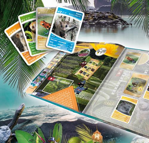 Neuigkeiten zu Ozeanien 9: Wann ist der Release-Termin? Neuigkeiten zu Ozeanien 9: Wann ist der Release-Termin?