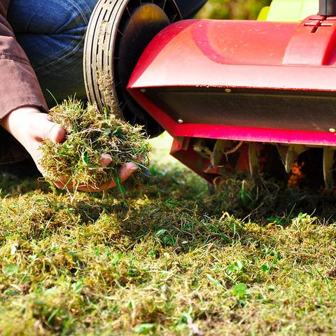 Die richtige Jahreszeit für das Vertikutieren im Frühjahr Die richtige Jahreszeit für das Vertikutieren im Frühjahr