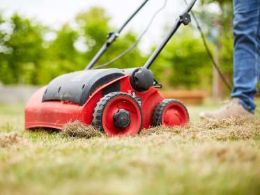 Wichtige Tipps zur richtigen Zeit für das Vertikutieren im Frühjahr Wichtige Tipps zur richtigen Zeit für das Vertikutieren im Frühjahr