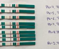 Wie lange bleibt Ovitrelle im Blut nach der Injektion?