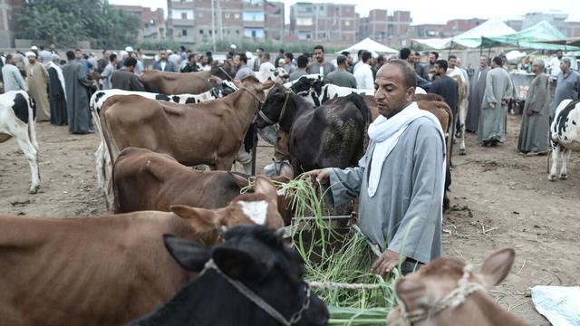 Das Opferfest 2022: Datum und Zeitpunkt des Festes Das Opferfest 2022: Datum und Zeitpunkt des Festes