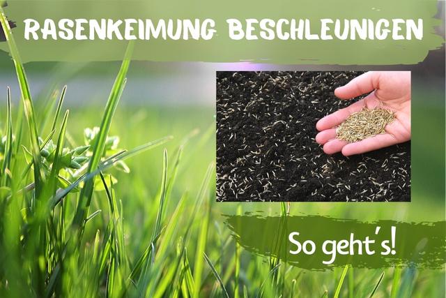 Rasen auf Standorten mit wenig Erde anlegen: Möglichkeiten und Tipps. Rasen auf Standorten mit wenig Erde anlegen: Möglichkeiten und Tipps.