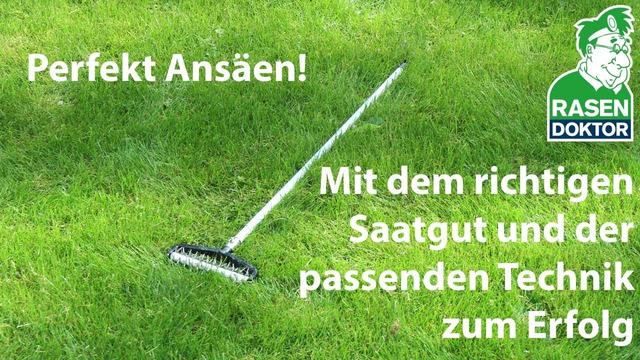 Schneller Erfolg mit Langzeitdünger: Vorteile für die Rasenneuanlage. Schneller Erfolg mit Langzeitdünger: Vorteile für die Rasenneuanlage.