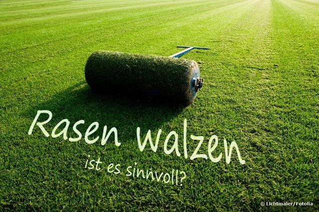Walzen nach der Neueinsaat: Wann und warum ist es sinnvoll? Walzen nach der Neueinsaat: Wann und warum ist es sinnvoll?