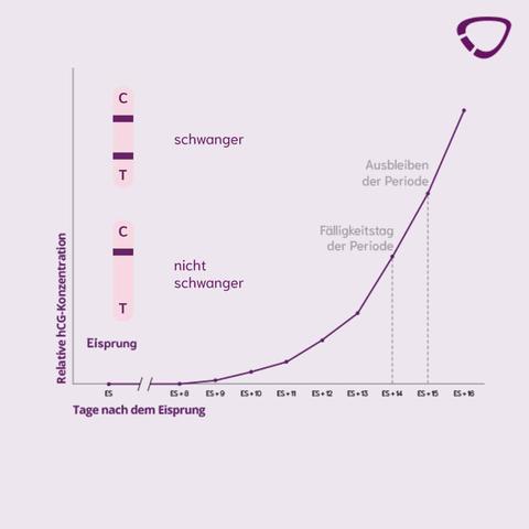 Bedeutung einer hCG-Tabelle bei der Bestimmung des hCG-Werts während der Schwangerschaft.