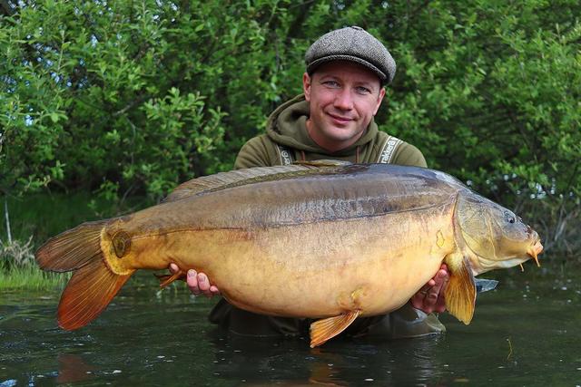 Flexibles Angeln: Wie man die unterschiedlichen Laichzeiten der Karpfen optimal nutzt Flexibles Angeln: Wie man die unterschiedlichen Laichzeiten der Karpfen optimal nutzt