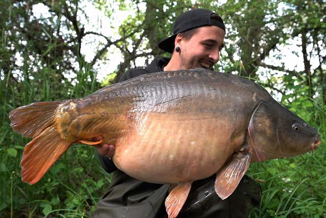 Nach dem Ablaichen: Die besten Chancen auf erfolgreiche Fänge Nach dem Ablaichen: Die besten Chancen auf erfolgreiche Fänge