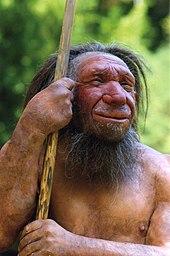 Wann existierten die Neandertaler? Ein Blick in die Vergangenheit