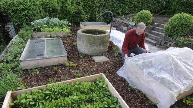 Die Eisheiligen 2024: Datum, Hintergrund und Bedeutung für Garten und Wetter Die Eisheiligen 2024: Datum, Hintergrund und Bedeutung für Garten und Wetter