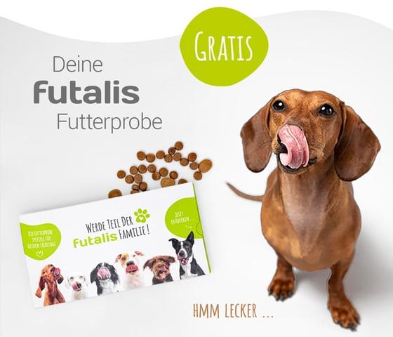 Tipps für den Umgang mit läufigen Hündinnen: Wie kann man sie schützen? Tipps für den Umgang mit läufigen Hündinnen: Wie kann man sie schützen?