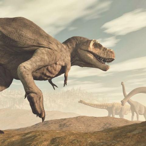 2. Die Auslöser des Dinosauriersterbens: Vulkanausbrüche oder Asteroideneinschlag? 2. Die Auslöser des Dinosauriersterbens: Vulkanausbrüche oder Asteroideneinschlag?