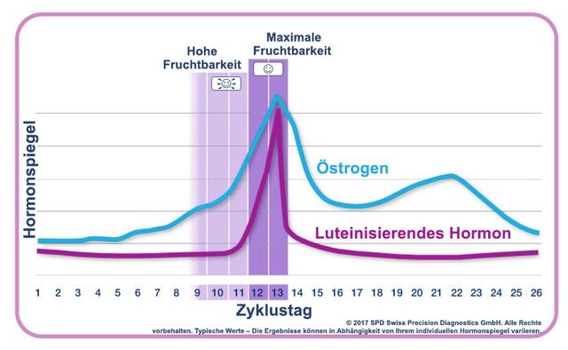 Die Freisetzung von Spermien: Wann ist der richtige Zeitpunkt? Die Freisetzung von Spermien: Wann ist der richtige Zeitpunkt?