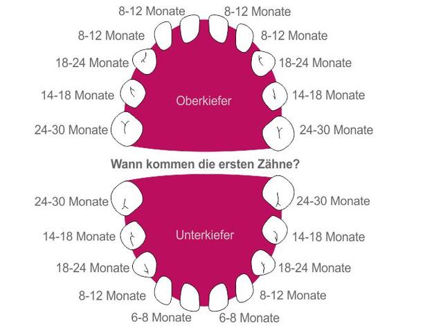Veilchenwurzeln als Beißringersatz umstritten: Alternativen und Tipps zur Linderung der Beschwerden beim Zahnen Veilchenwurzeln als Beißringersatz umstritten: Alternativen und Tipps zur Linderung der Beschwerden beim Zahnen