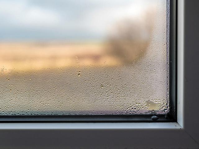 Von innen beschlagene Fenster: Wie Sie das Problem in den Griff bekommen Von innen beschlagene Fenster: Wie Sie das Problem in den Griff bekommen