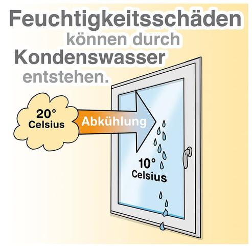 Schimmelgefahr durch Kondenswasser: Wie Sie Ihre Fenster richtig pflegen Schimmelgefahr durch Kondenswasser: Wie Sie Ihre Fenster richtig pflegen