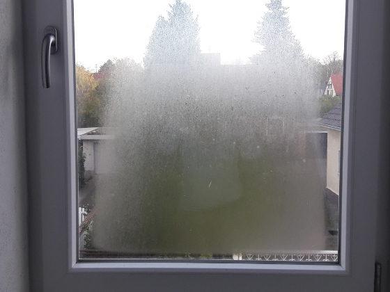 Beschlagene Fenster vermeiden: Maßnahmen gegen Feuchtigkeit und Schimmel Beschlagene Fenster vermeiden: Maßnahmen gegen Feuchtigkeit und Schimmel