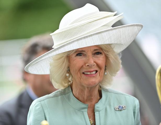 Der Aufstieg von Camilla: Vom Rivalen zur Königin Der Aufstieg von Camilla: Vom Rivalen zur Königin