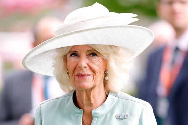 Queen Consort Camilla: Ein Blick auf ihre neue Position im britischen Königshaus Queen Consort Camilla: Ein Blick auf ihre neue Position im britischen Königshaus