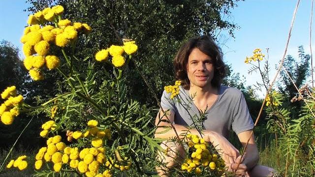 Cistus Tee Verbot: Was sind die Argumente und Auswirkungen? Cistus Tee Verbot: Was sind die Argumente und Auswirkungen?