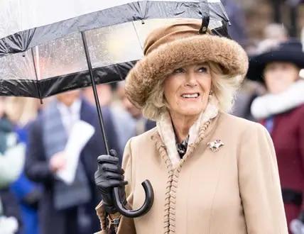Von Ehe-Brecherin zur Königin: Wie konnte Camilla diesen Titel erhalten? Von Ehe-Brecherin zur Königin: Wie konnte Camilla diesen Titel erhalten?