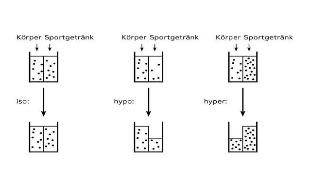 Hypertonische, hypotonische und isotonische Getränke im Vergleich: Vor- und Nachteile