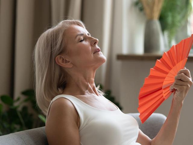 Hausmittel gegen Hitzewallungen: Natürliche Lösungen für Frauen in den Wechseljahren Hausmittel gegen Hitzewallungen: Natürliche Lösungen für Frauen in den Wechseljahren