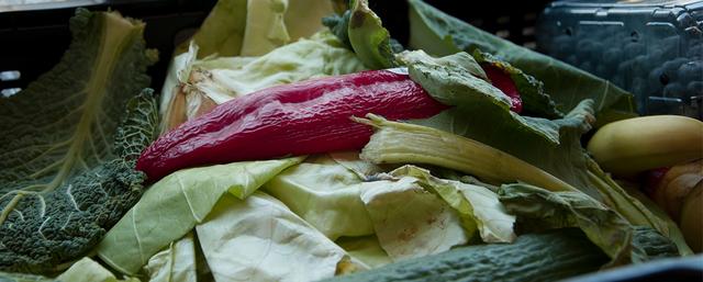 Wie funktioniert Foodsharing? Eine nachhaltige Lösung gegen Lebensmittelverschwendung