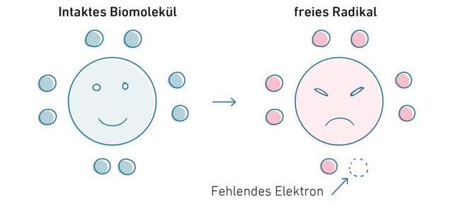 Ursachen für oxidativen Stress und wie man ihn reduzieren kann Ursachen für oxidativen Stress und wie man ihn reduzieren kann